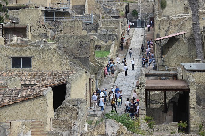 Excavations of Herculaneum. Tour guide and skip-the-line ticket - The highlights: mosaics, typical houses, and the bath areas