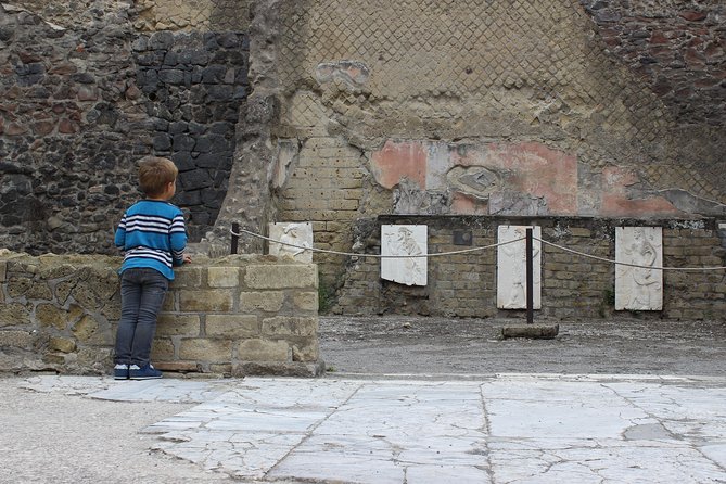 Excavations of Herculaneum. Tour guide and skip-the-line ticket - Price and value: is $81.45 worth it?