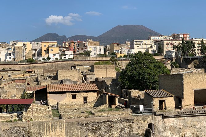 Excellence Private Herculaneum Guided Tour with an Archeologist - Herculaneum’s Seaside Start Puts the Story in Order