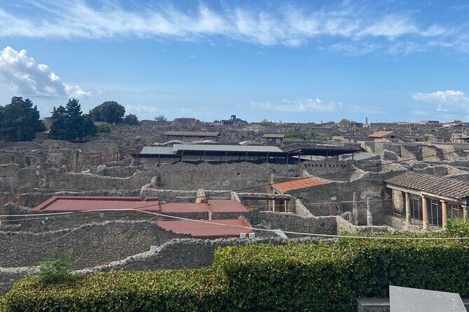 Exclusive Half-Day Tour in Pompeii with skip the line tickets - Casa del Menandro: A Decorated Domus Stop You Don’t Have to Guess About