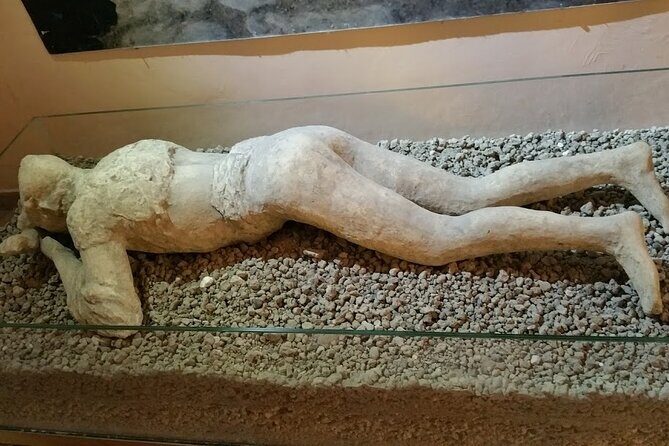 Exclusive Pompeii with Wine and Lunch on Vesuvius-Skip-the-line - The Forum loop: Basilica, Temple of Apollo, and civic life you can read