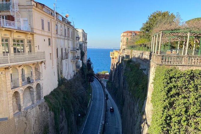 Exclusive tour in Sorrento and Pompeii with transport and tickets - Private Door-to-Door Setup from Sorrento to Pompeii