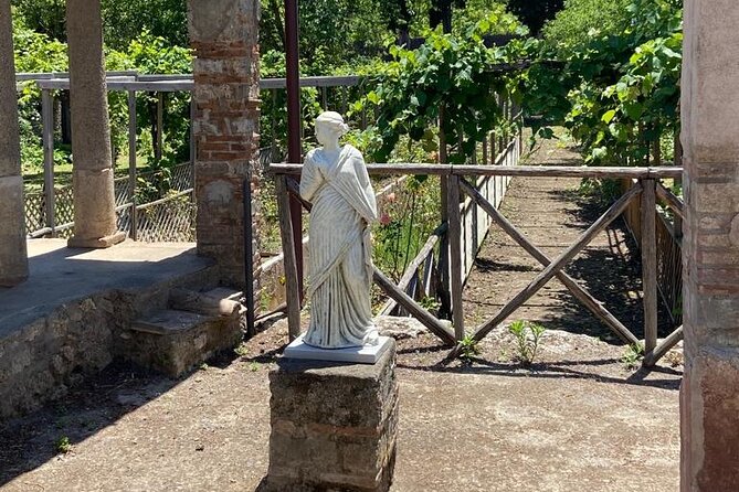 Exclusive tour in Sorrento and Pompeii with transport and tickets - How the Transport Feels in Real Life: Air-Conditioned and Low-Stress
