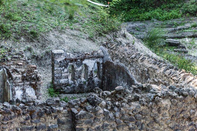 Explore Pompeii: Private Tour, Wine Tasting & Lunch - Pompeii With Priority Entry: keeping your morning from turning into a line