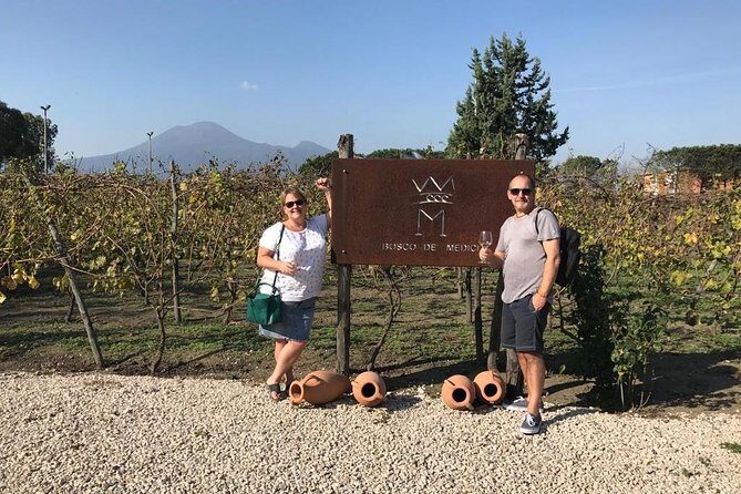 Explore Pompeii: Private Tour, Wine Tasting & Lunch - Entering Pompeii with a licensed guide: how 2 hours can still feel like a lot