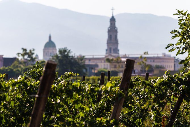 Explore Pompeii: Private Tour, Wine Tasting & Lunch - Who should book this Pompeii + winery combo