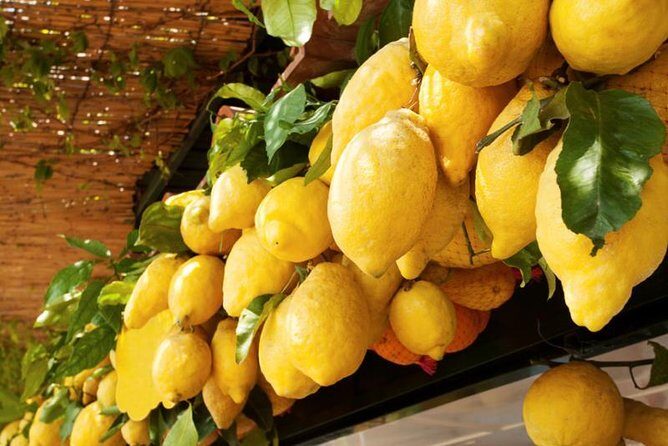 Farm-to-Table Experience: Olive Oil, Garden Tour & Nonna’s Lunch - Small Group Size (Max 30) and Why It Feels Less Touristy
