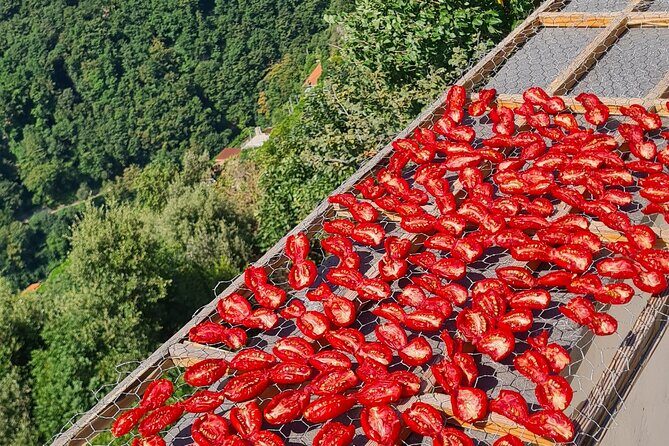 Ferriere waterfalls hike - Amalfi and Ravello Coast - Scala, Ravello, and Costiera Amalfitana viewpoints: where the effort pays off
