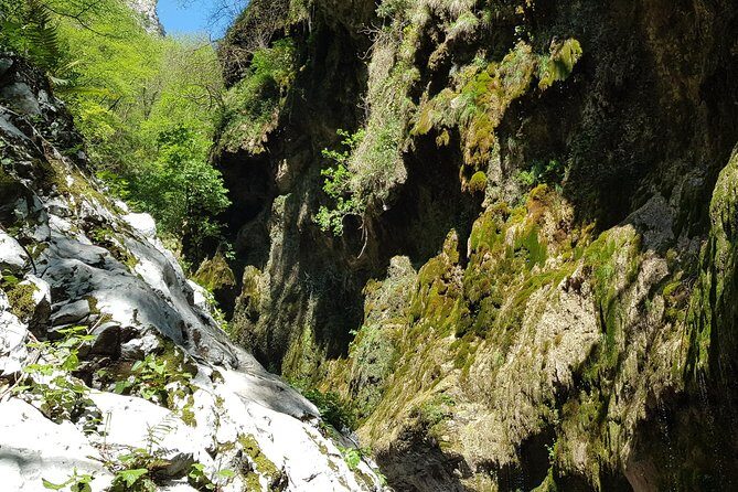 Ferriere waterfalls hike - Amalfi and Ravello Coast - Enzo Masullo as your guide: what you get from local hands