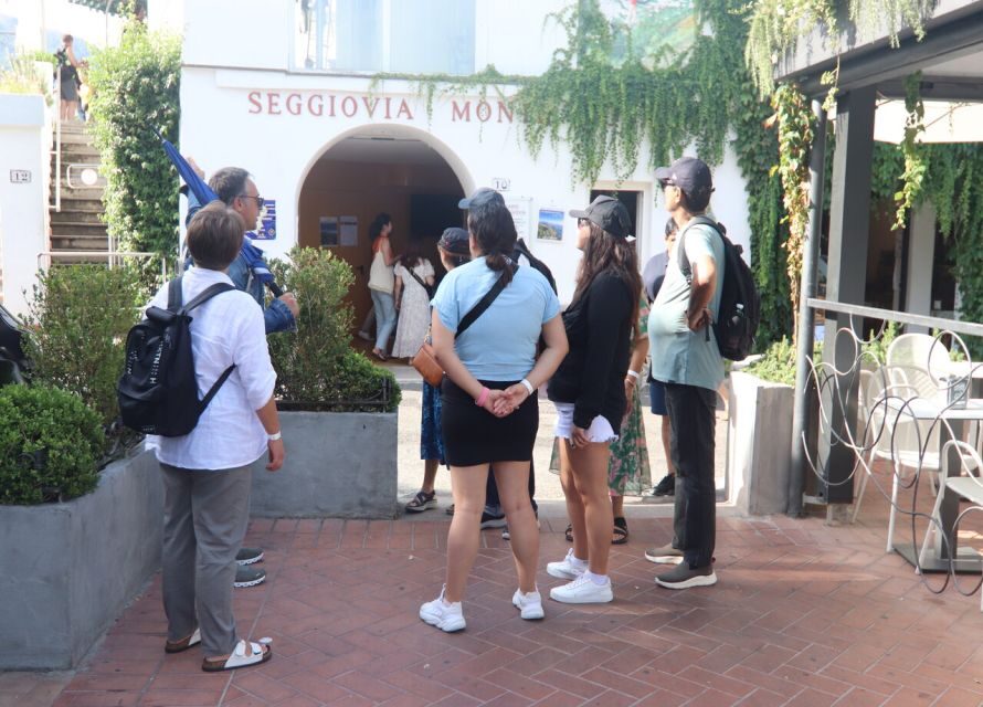 From Capri: Blue Grotto, Capri and Anacapri Guided Tour - Getting around: short transfers, long walking blocks