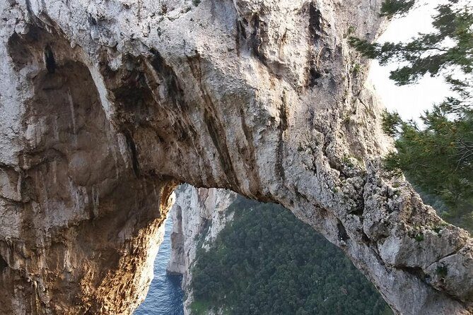 From Capri Semi-Guided tour of island at Pier 23 at 10,20 - Optional add-ons: chairlift, Blue Grotto, and boat rides