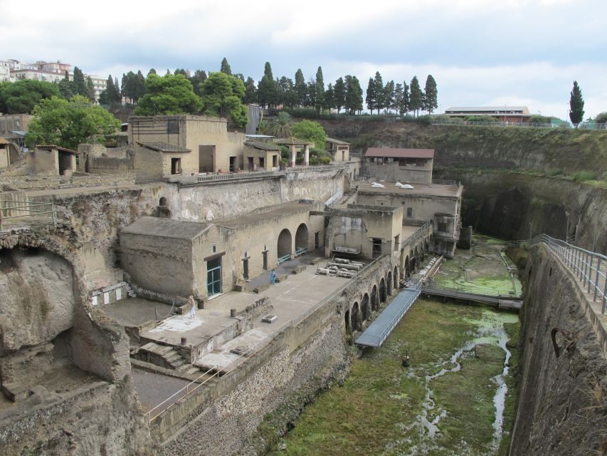 From Naples: 2-Hour Herculaneum Kid-Friendly Tour - Price and value: is $206.75 per person fair?