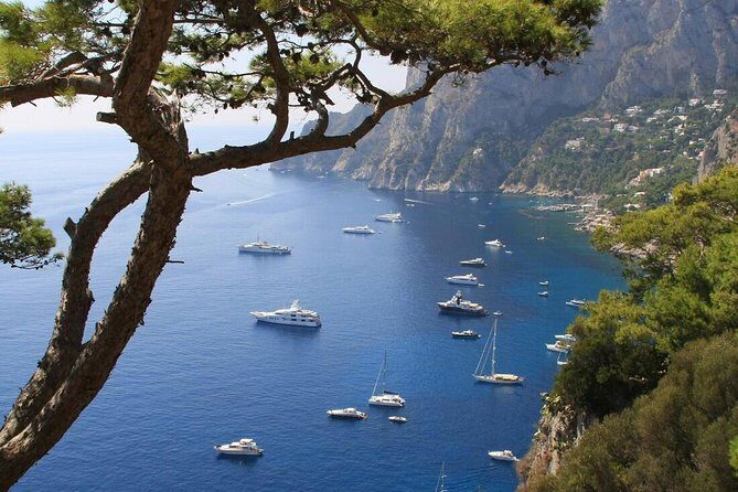 From Naples: Full-Day Capri Island and Blue Grotto Tour - Capri town time: what you can do with a busy schedule