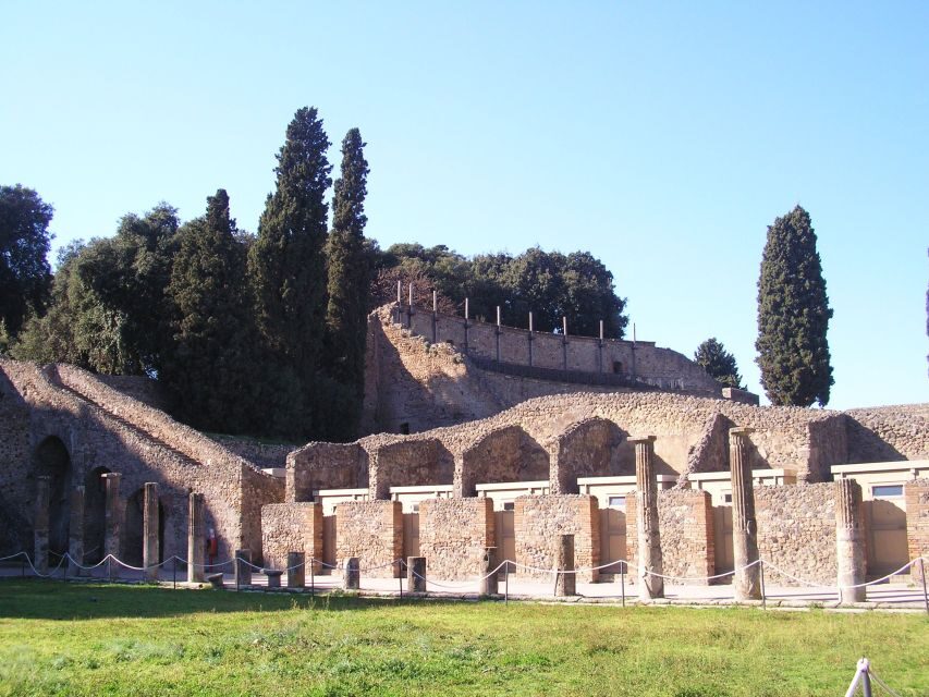 From Naples: Guided Pompei & Mount Vesuvius with Pizza Lunch - Pizza Lunch in Campania: A Quick Reset Between Ruins and Volcano