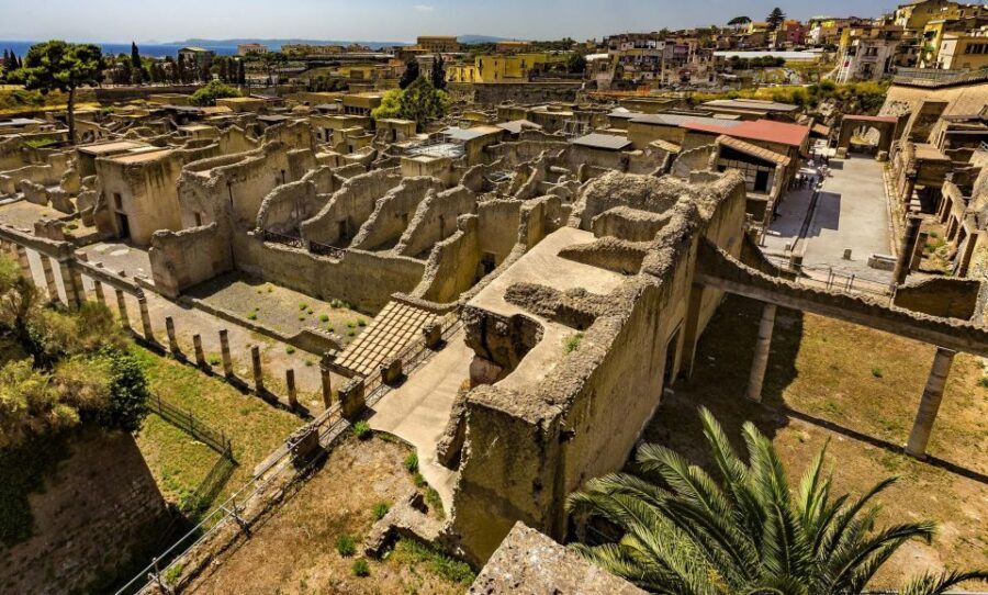 From Naples: Herculaneum, Vesuvius, and Pompeii Trip - Mount Vesuvius: 1,000 meters up and crater time