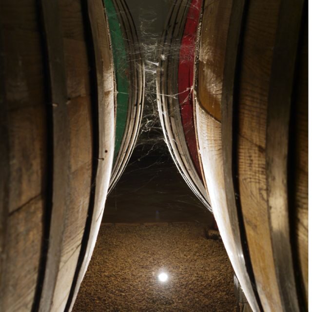 From Naples: Irpinia Wine Tour with 6 Tastings - From Naples to Irpinia: the scenic setup