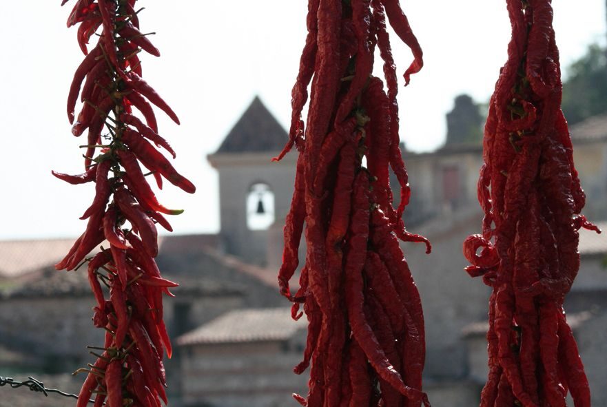 From Naples: Irpinia Wine Tour with 6 Tastings - Stop 1: Tenuta Donna Elvira and three wines with real personality
