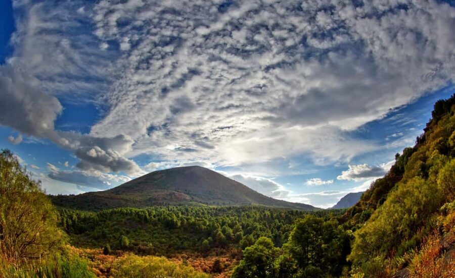 From Naples: Mount Vesuvius Half-Day Tour with Lunch - The Short Hike to the Summit: Where Fitness Really Matters