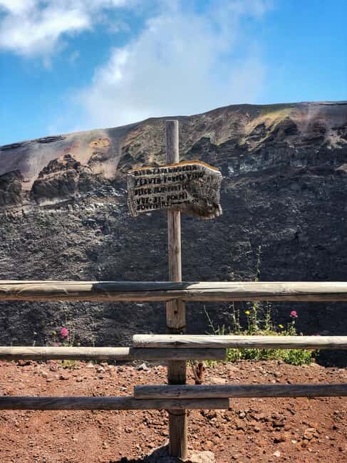 From Naples: Mount Vesuvius Half-Day Tour with Lunch - The Crater Visit and Guided Loop: Looking Down Instead of Just Around