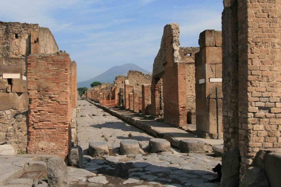 From Naples or Pompeii: Pompeii Skip-the-Line Entry and Tour - Forum, Necropolis, and Bath Houses: The City’s Public Rhythm