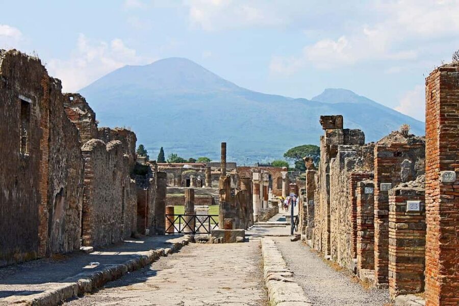 From Naples: Pompeii and Vesuvius Day Tour - A One-Day Combo: Vesuvius and Pompeii in Real Time