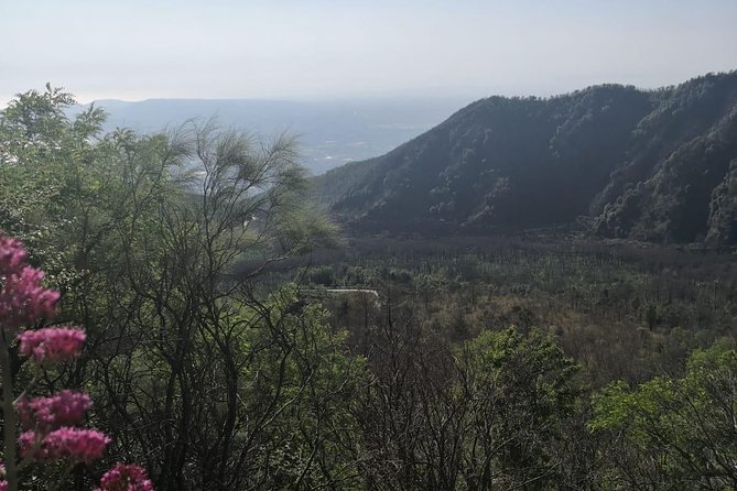 From Naples: Pompeii & Mount Vesuvius Full-Day Tour with Lunch - Vesuvius National Park: the climb, the crater, and timing reality