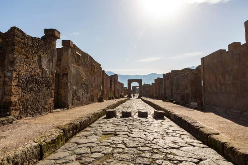 From Naples: Pompeii Private Tour with Transfer and Guide - Skip-the-line entry plus a live guide: where the real value hides
