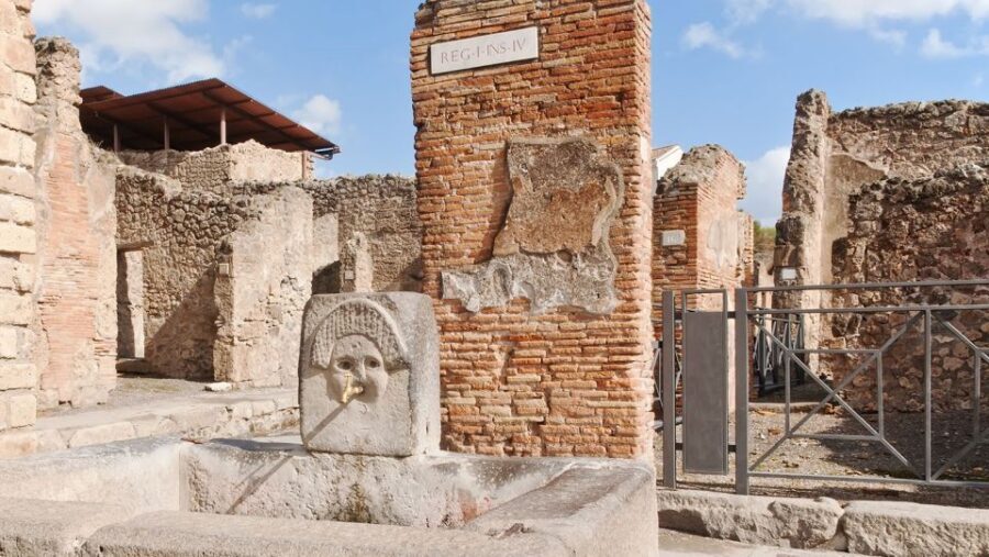 From Naples: Pompeii Ruins VIP Guided Tour - The Skip-the-Line Entrance: Faster Start, Better First Look