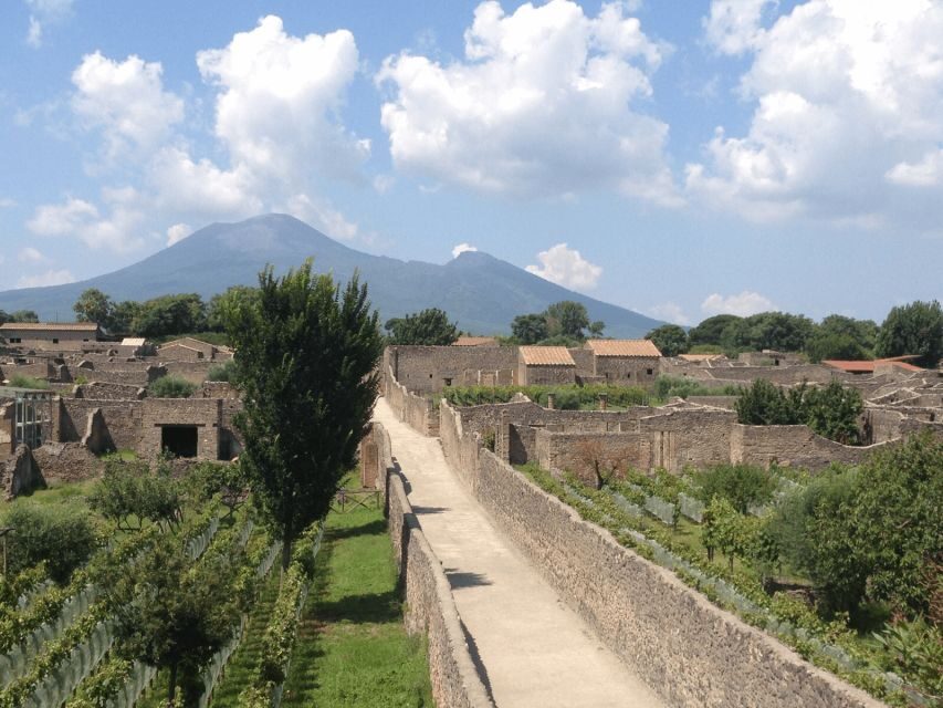 From Naples: Pompeii Ruins VIP Guided Tour - Getting Picked Up in Naples (and Staying Comfortable)