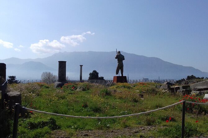 From Naples: Pompeii & Wine Tasting" Private Day Tour - Key things to know before you go