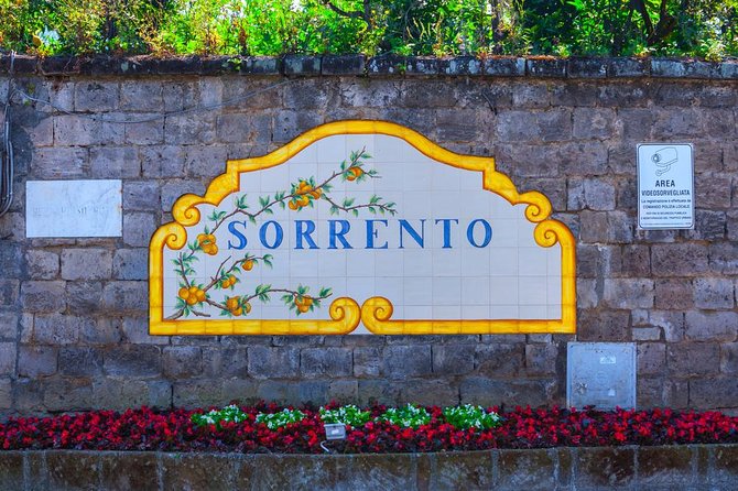 From Naples Port: Sorrento & Pompeii With Limoncello Tasting - Sorrento free time and limoncello tasting: where you can actually enjoy yourself