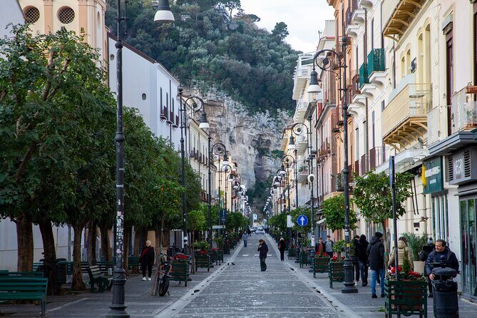 From Naples: Private Tour Pompei and Sorrento with lunch - Who this tour suits best (and who should look elsewhere)