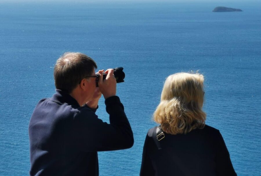 From Naples: Private Tour to Pompeii, Sorrento, and Positano - Key points to know before you go