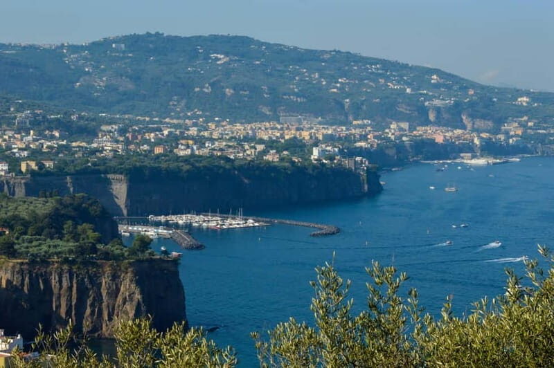 From Naples/Salerno: Pompeii, Sorrento and Amalfi Coast Tour - Price and value: how $90 stacks up for an Amalfi + Pompeii day