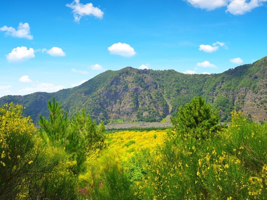 From Pompei: Mount Vesuvius Sunset Trip with Entry Ticket - Panoramas over Naples and the Amalfi Coast: getting the best light