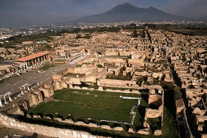 From Pompeii: Day Tour of Pompeii and Vesuvius with Bus Transfer - Should you book this Pompeii and Vesuvius tour?