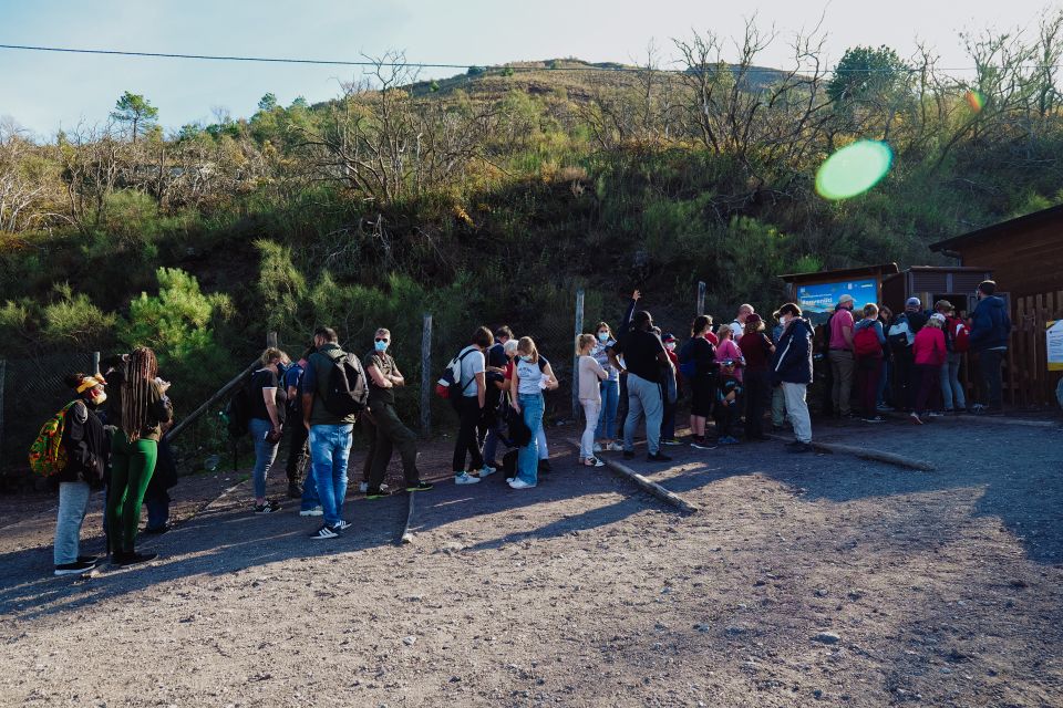 From Pompeii: Mount Vesuvius Guided Tour with Transfer - Peering into the crater: what to expect at the top