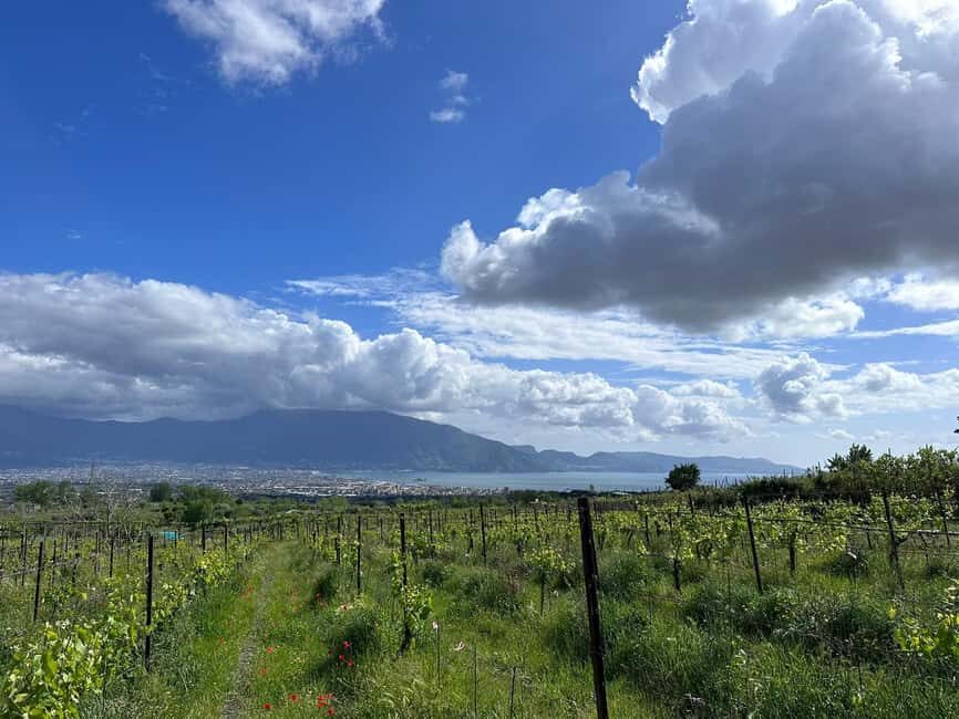 From Pompeii: Mount Vesuvius Horseback Riding Tour - Your 1-Hour Horseback Ride Above the Vine Rows