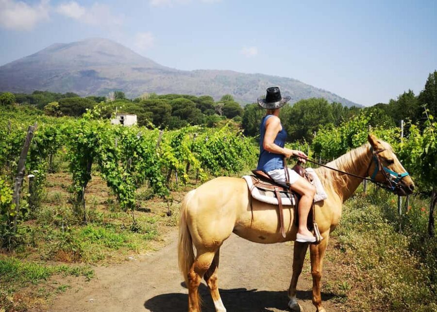 From Pompeii: Mount Vesuvius Horseback Riding Tour - After the Saddle: Quirinoli Estate for 0-km Lunch