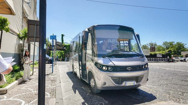 From Pompeii: Mount Vesuvius with bus, ticket and audioguide - Meeting at Hotel Vittoria with the red inStazione sign