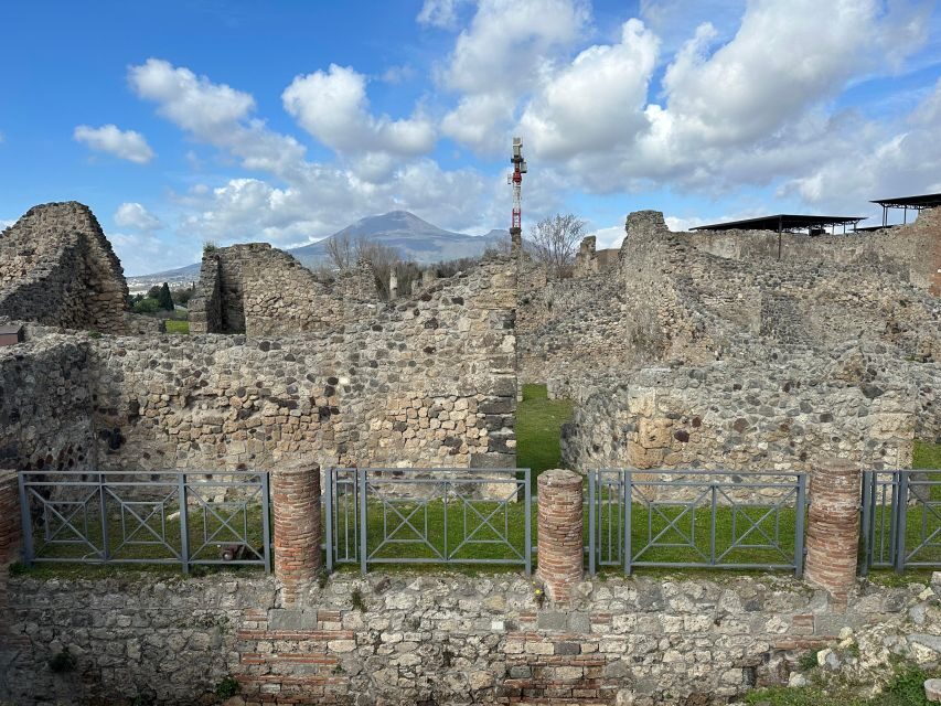 From Pompeii: Vesuvius excursion + Pompeii guided tour - Price and Value: Is $147.27 Worth It?