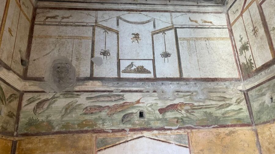 From Positano: Pompeii & Vesuvius tour small group - Vesuvius after Pompeii: what the Gran cone walk is like