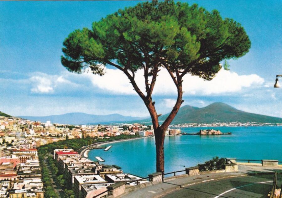 From Rome: Full Day Pompeii and Naples Tour - Key things to know before you go