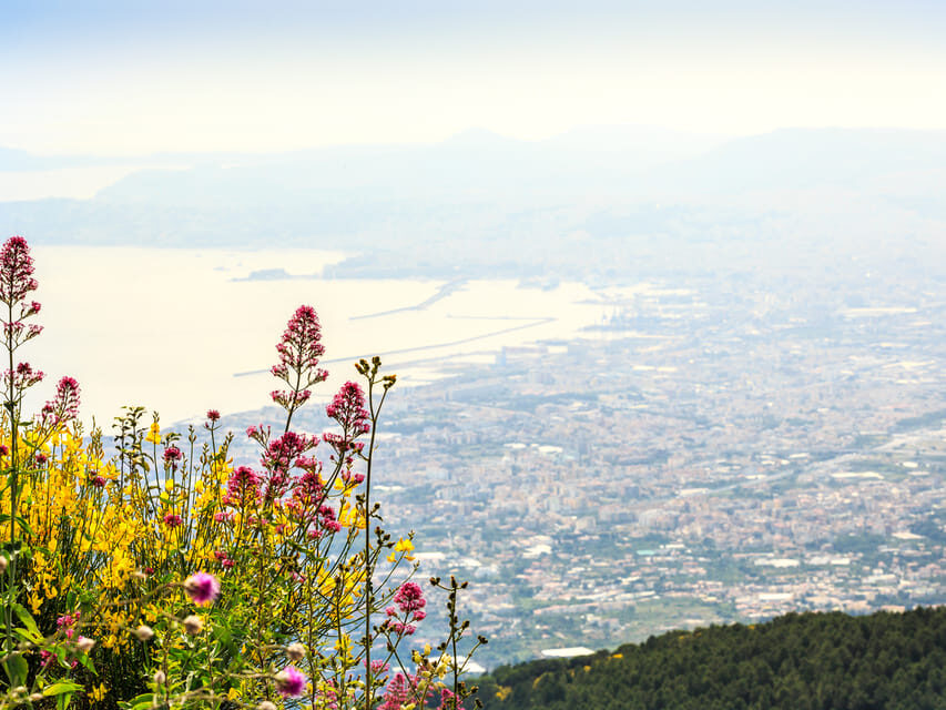 From Salerno: Mount Vesuvius and Pompeii Ruins Day Trip - Who should book this Vesuvius and Pompeii trip