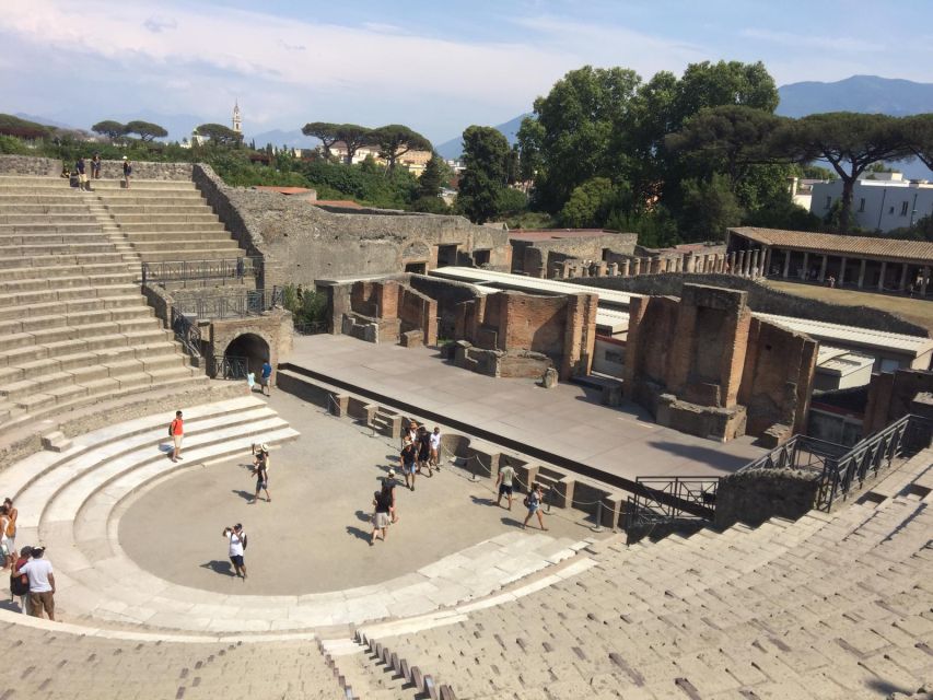 From Salerno: Pompeii Guided Walking Tour - Key highlights that make this tour work
