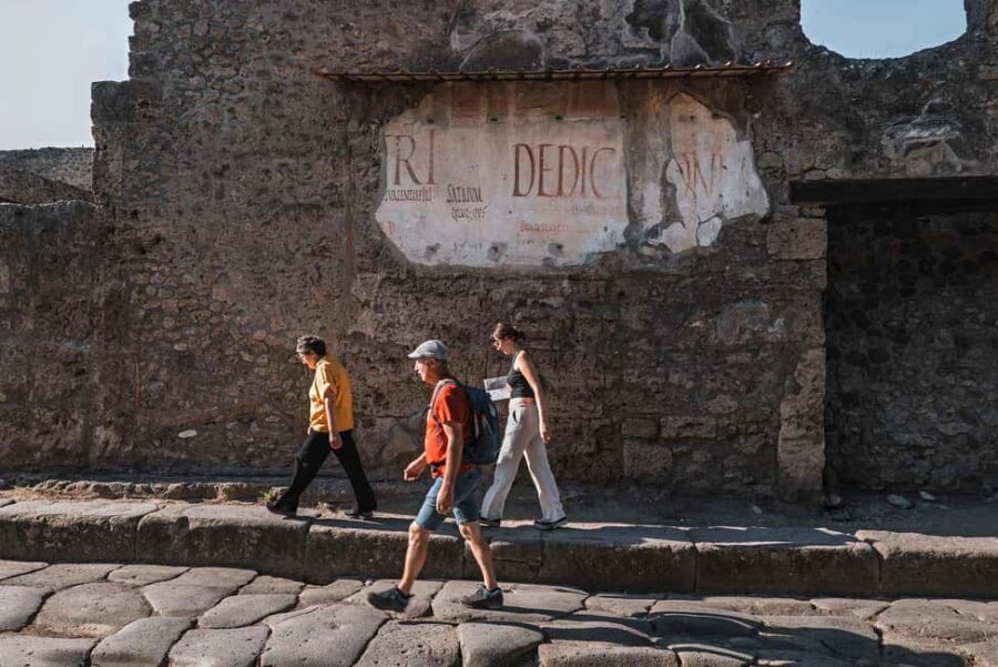 From Salerno: Pompeii Guided Walking Tour with Ticket - Key things I’d prioritize on this tour