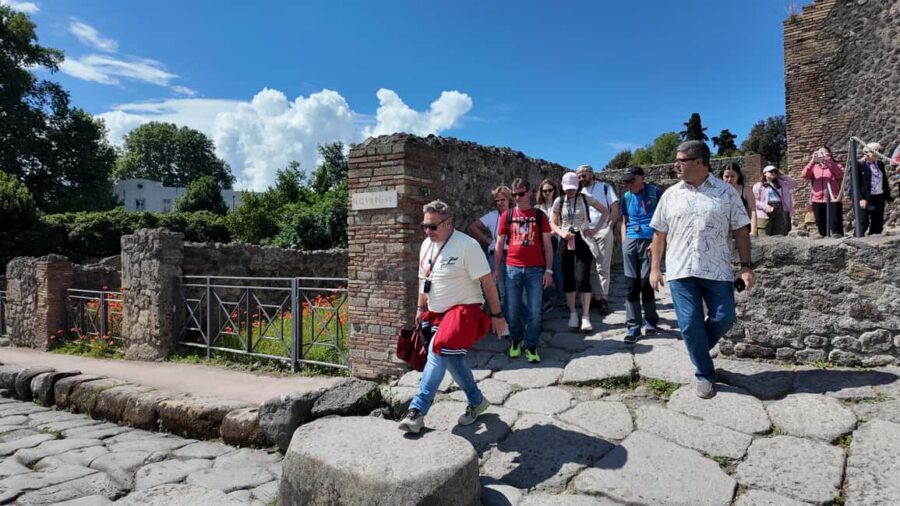From Salerno: Pompeii Guided Walking Tour with Ticket - Price and value: is $71 a fair deal?