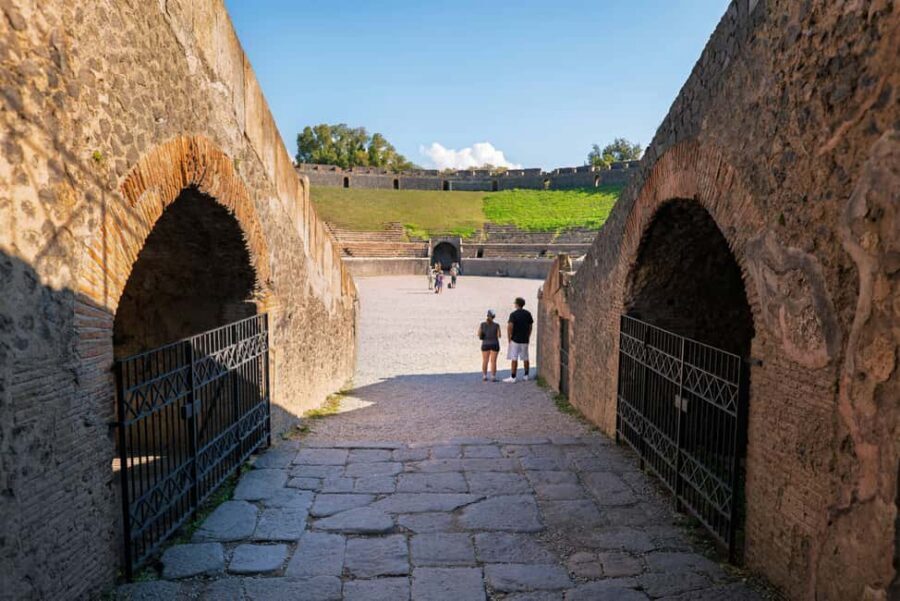 From Salerno: Pompeii Guided Walking Tour with Ticket - When this tour fits you best