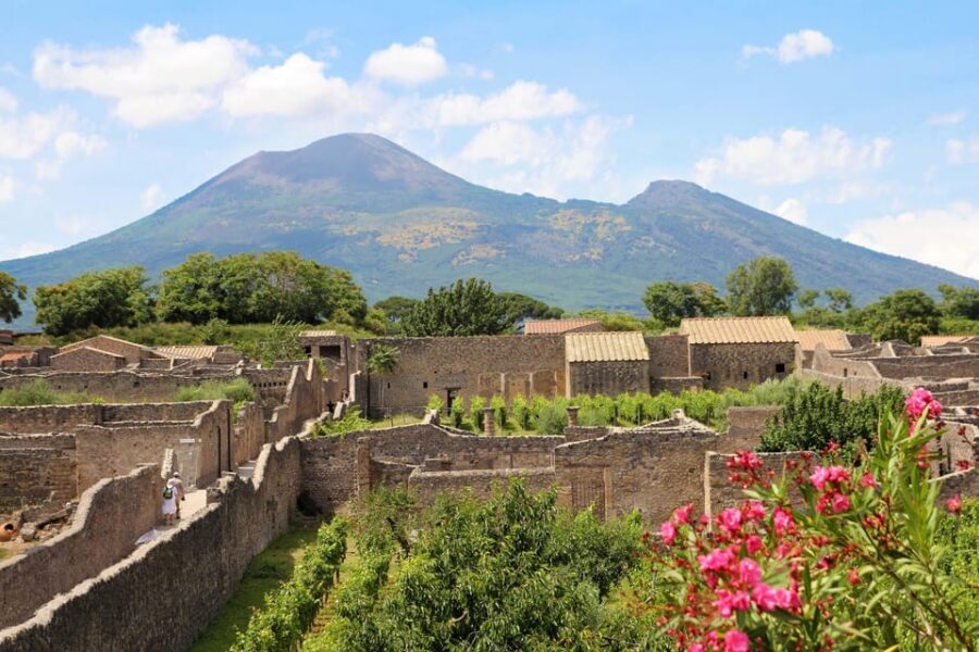 From Salerno_Pompeii Express_bus+ skip the line ticket - Practical notes you should not skip (especially the ID)
