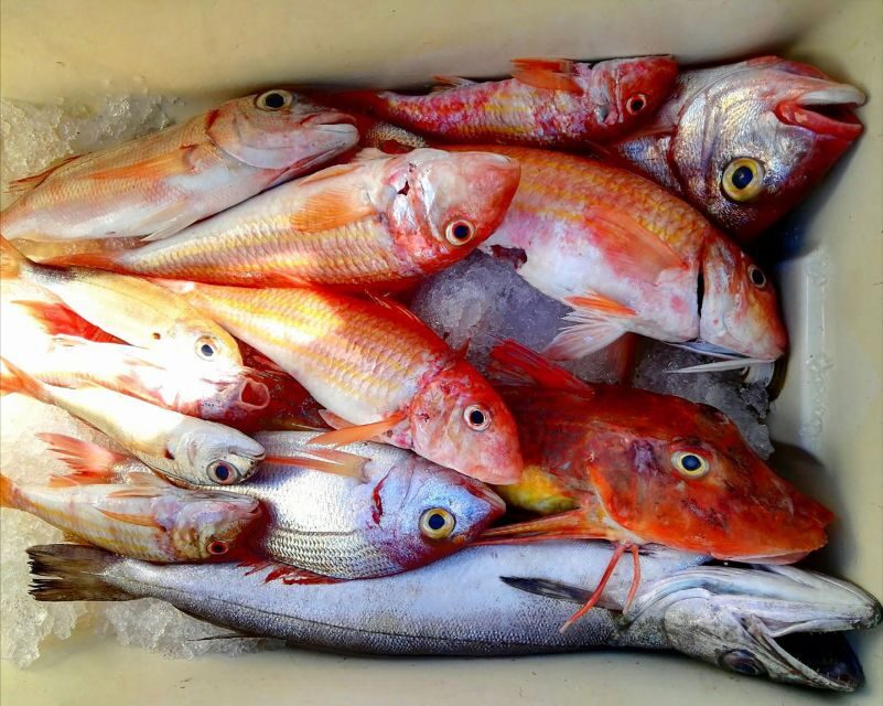 From Sorrento: Fishing in Capri with Lunch - Fishing in Capri: more than just a line in the water
